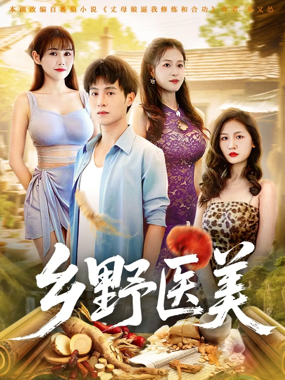 乡野医美 (80集) 王新颖&张宸硕海报