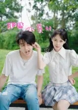 短剧《那些小美好》完整版全集免费观看大结局