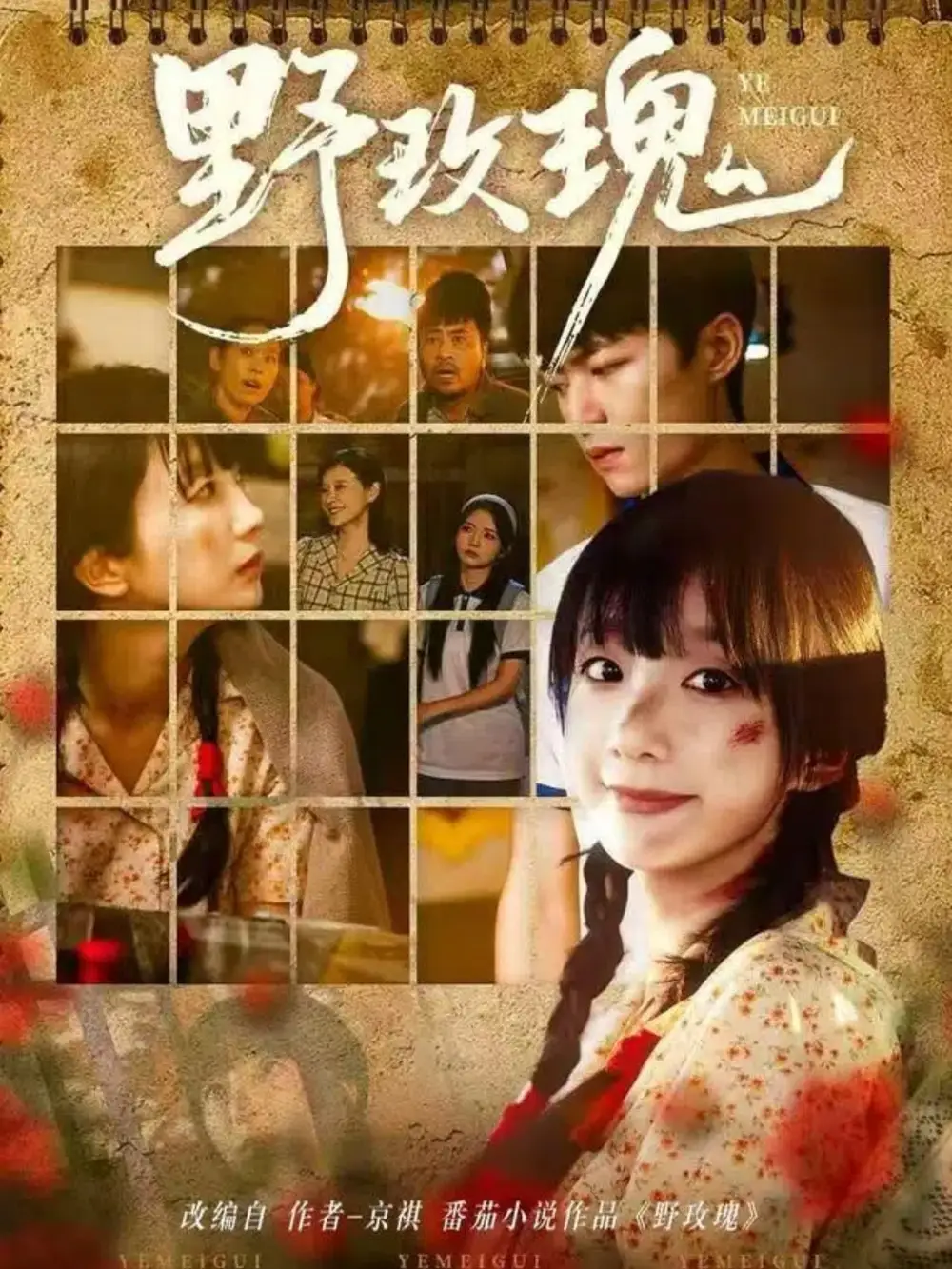 短剧《野玫瑰》完整版全集免费观看大结局