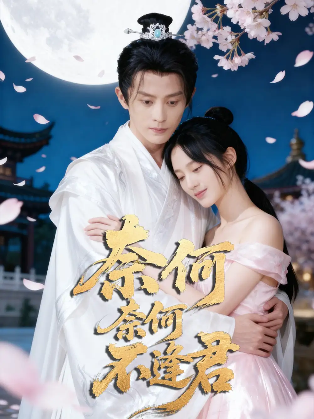 奈何奈何不逢君（57集）骆诗琪&刘润铭海报