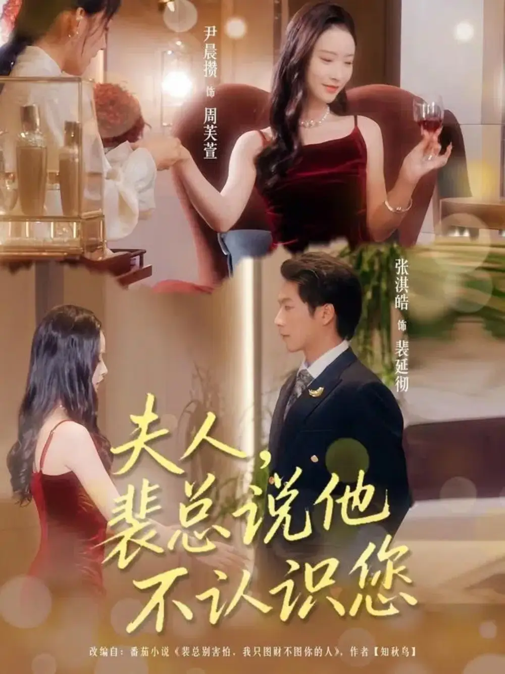 夫人裴总说他不认识您(75集)张淇皓&尹晨攒高清海报图片 夫人裴总说他不认识您(75集)张淇皓&尹晨攒海报