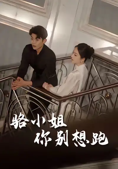 短剧《骆小姐你别想跑》完整版全集免费观看大结局