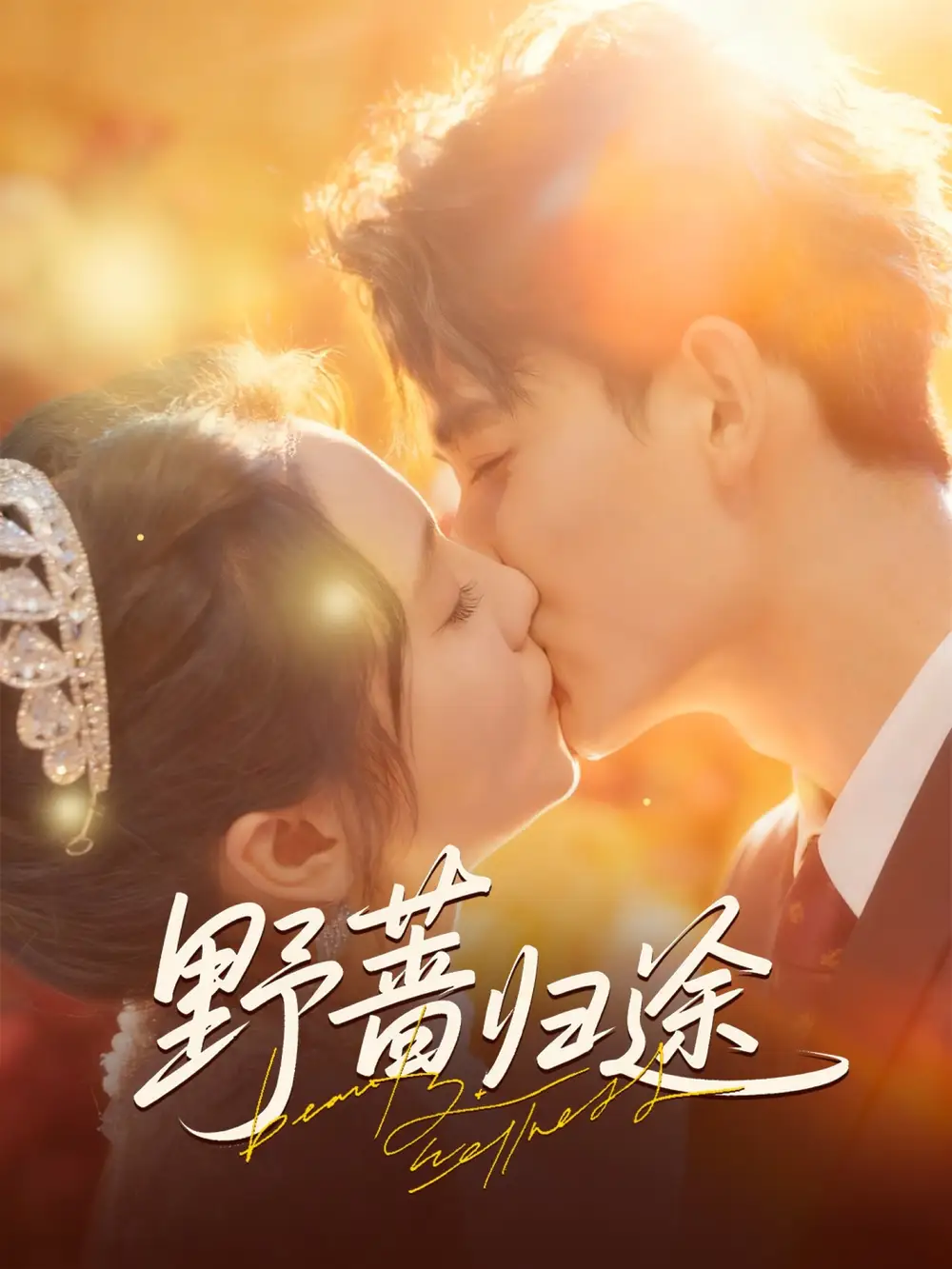 短剧《野蔷归途》完整版全集免费观看大结局