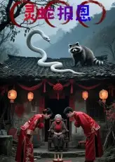 短剧《灵蛇报恩》完整版全集免费观看大结局