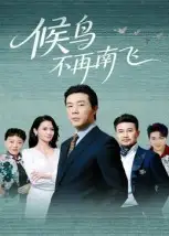 短剧《候鸟不再南飞》完整版全集免费观看大结局