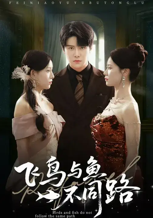 短剧《飞鸟与鱼不同路》完整版全集免费观看大结局