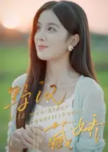 野汉藏娇(30集)陈梦玲高清海报图片 野汉藏娇(30集)陈梦玲海报