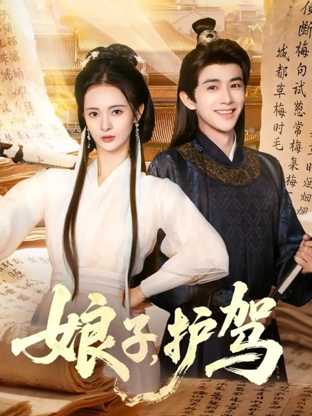 娘子护驾（73集）陈外&刘柠熹海报