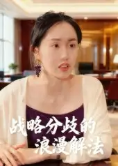 战略分歧的浪漫解法（16集）曹栋&曾渠清海报