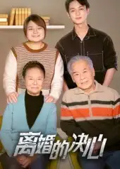 离婚的决心（53集）海报