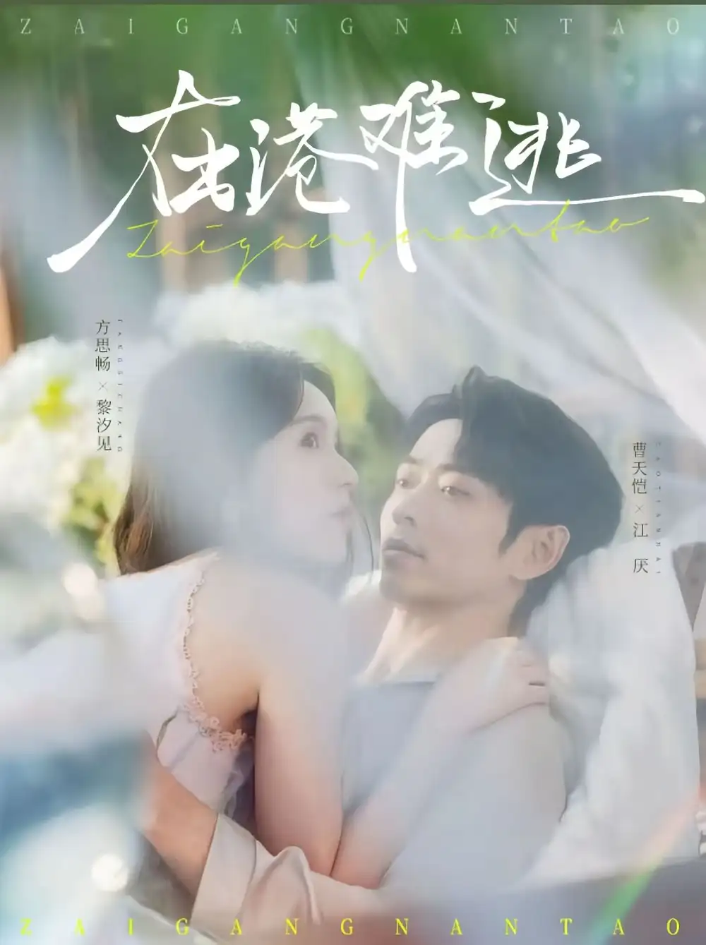 短剧《在港难逃》完整版全集免费观看大结局