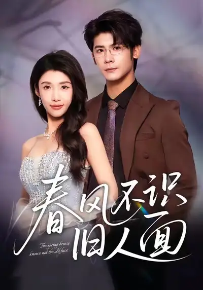 短剧《春风不识旧人面》完整版全集免费观看大结局