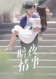 短剧《暗夜情事》完整版全集免费观看大结局