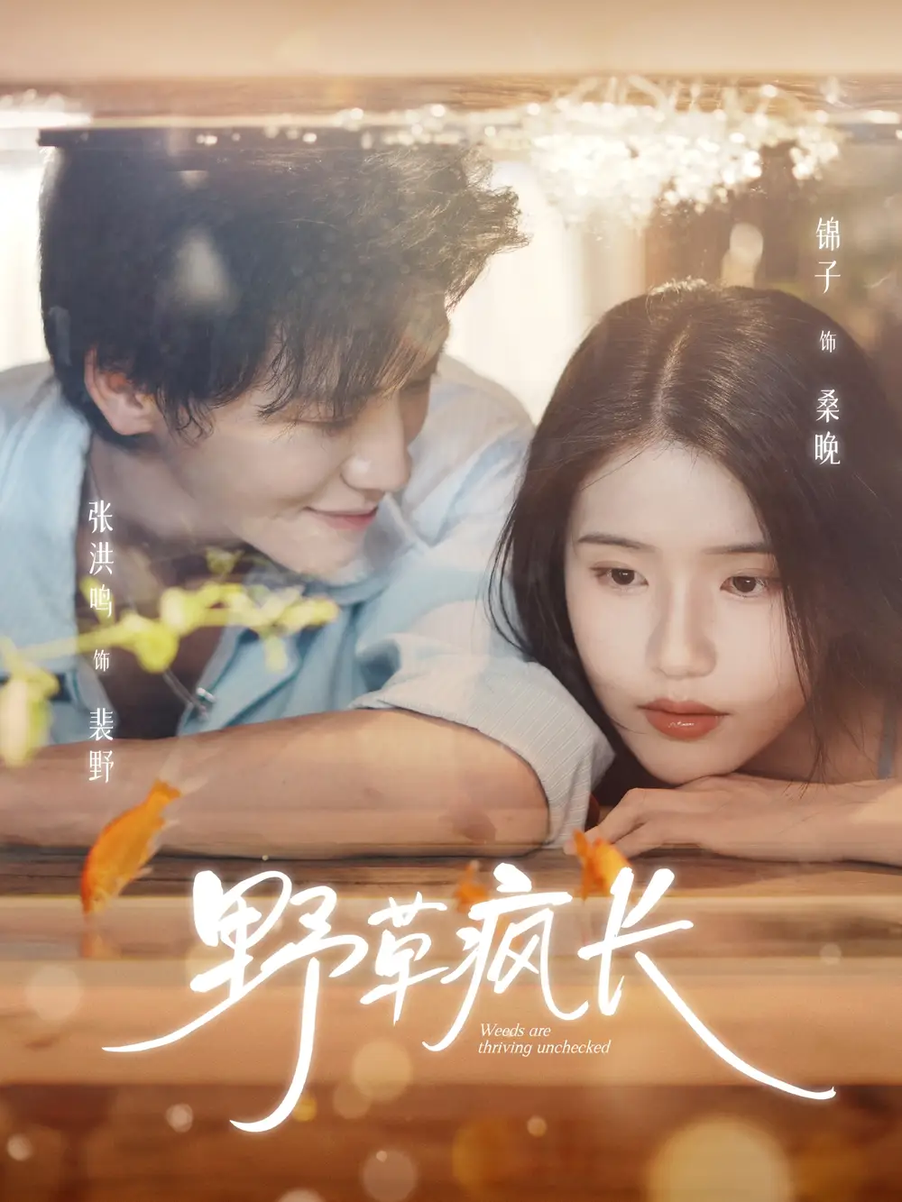 野草疯长（71集）张洪鸣＆锦子海报