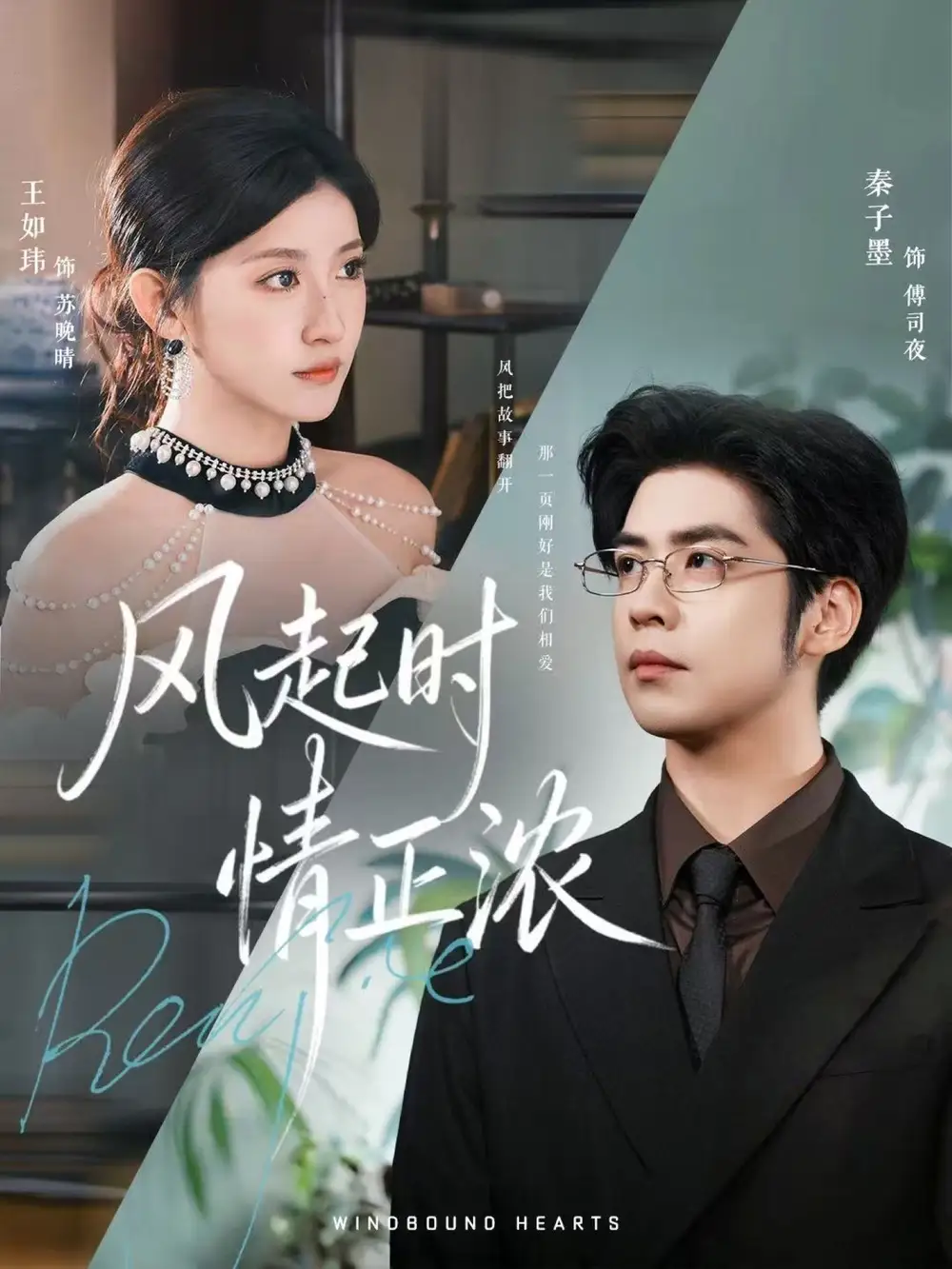 短剧《风起时情正浓》完整版全集免费观看大结局