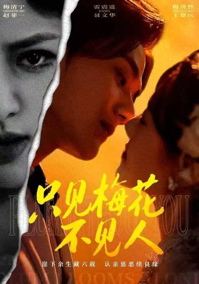 短剧《只见梅花不见人》完整版全集免费观看大结局