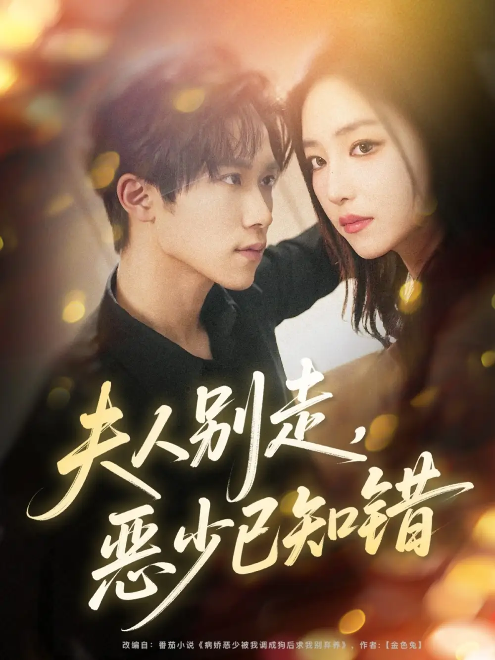 短剧《夫人别走恶少已知错》完整版全集免费观看大结局
