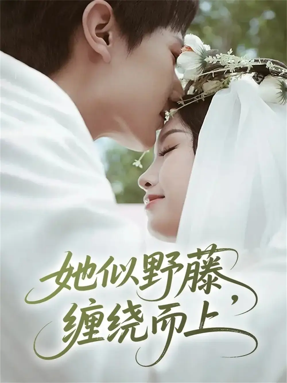 她似野藤，缠绕而上（51集）万烽＆李文茹海报