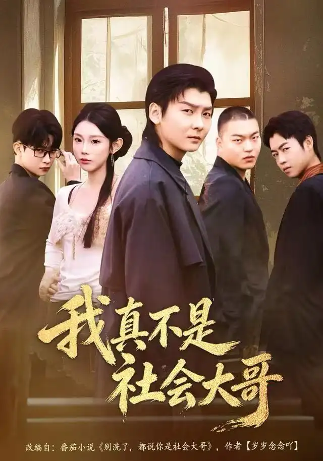 短剧《我真不是社会大哥》完整版全集免费观看大结局