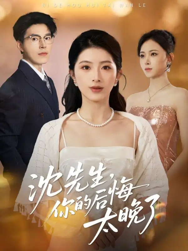 沈先生，你的后悔太晚了（40集）肖琳＆翟中星＆王慧珠海报