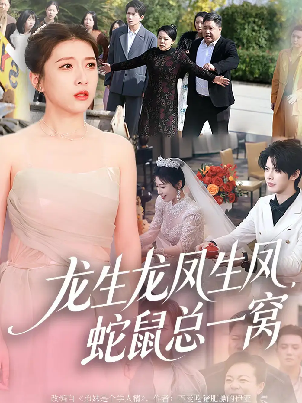 短剧《龙生龙凤生凤，蛇鼠总一窝》完整版全集免费观看大结局